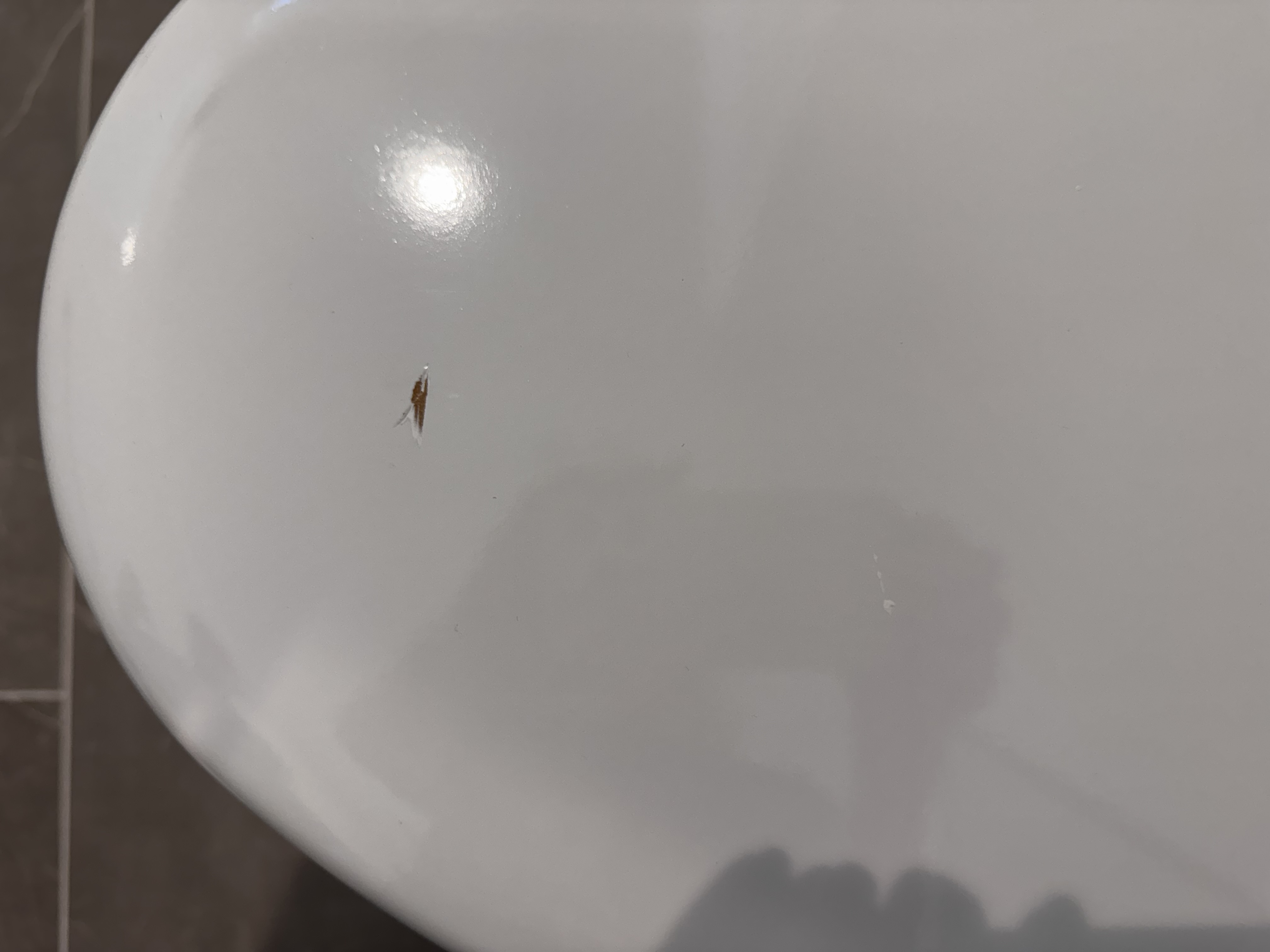 Scratch on a toilet seat on the second floor